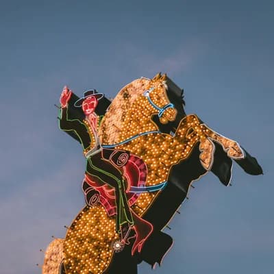 The Best Sex Toys for Men - Penis, Anal, Scrotal, and Perineal Pleasure